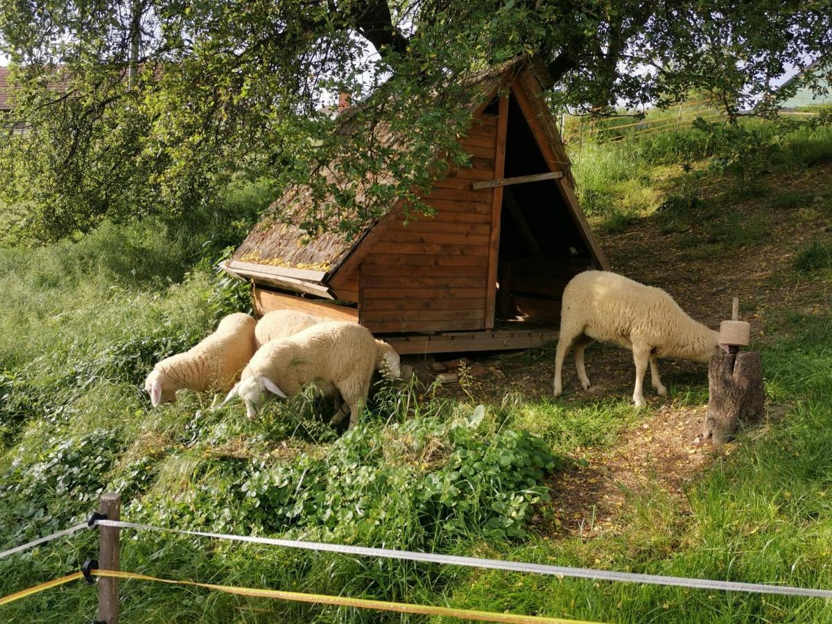 Camping Silva Otel Ljutomer Dış mekan fotoğraf